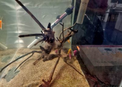 I ENCONTRO DE EDUCAÇÃO AMBIENTAL (5)