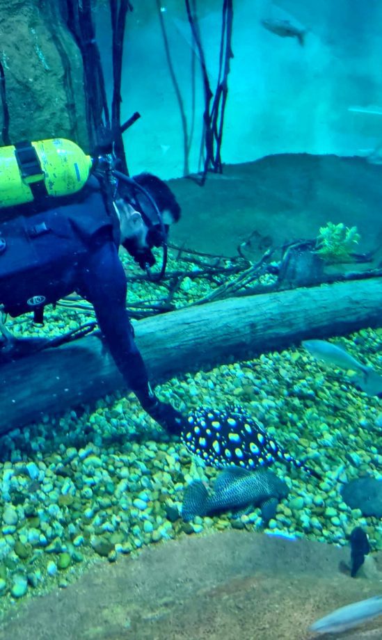 I ENCONTRO DE EDUCAÇÃO AMBIENTAL (7)