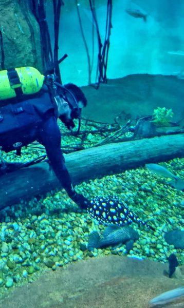 I ENCONTRO DE EDUCA&Ccedil;&Atilde;O AMBIENTAL (7)