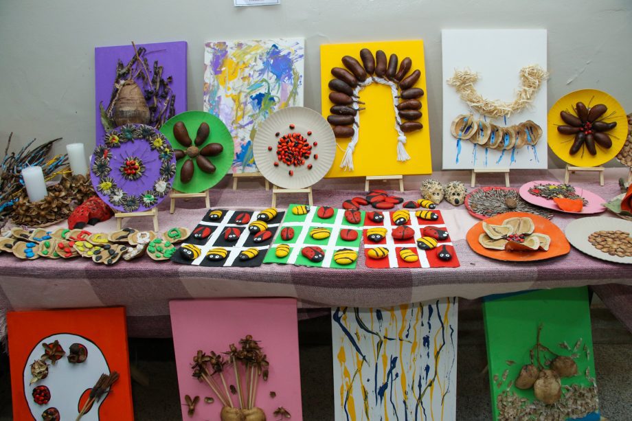 CEI NOVA ALVORADA - PROJETO SUZANO (3)