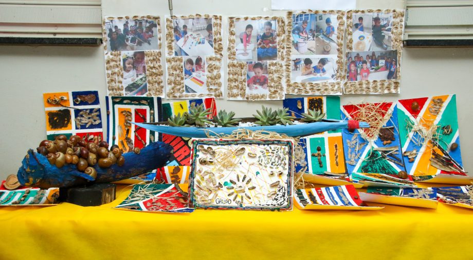 CEI NOVA ALVORADA - PROJETO SUZANO (4)