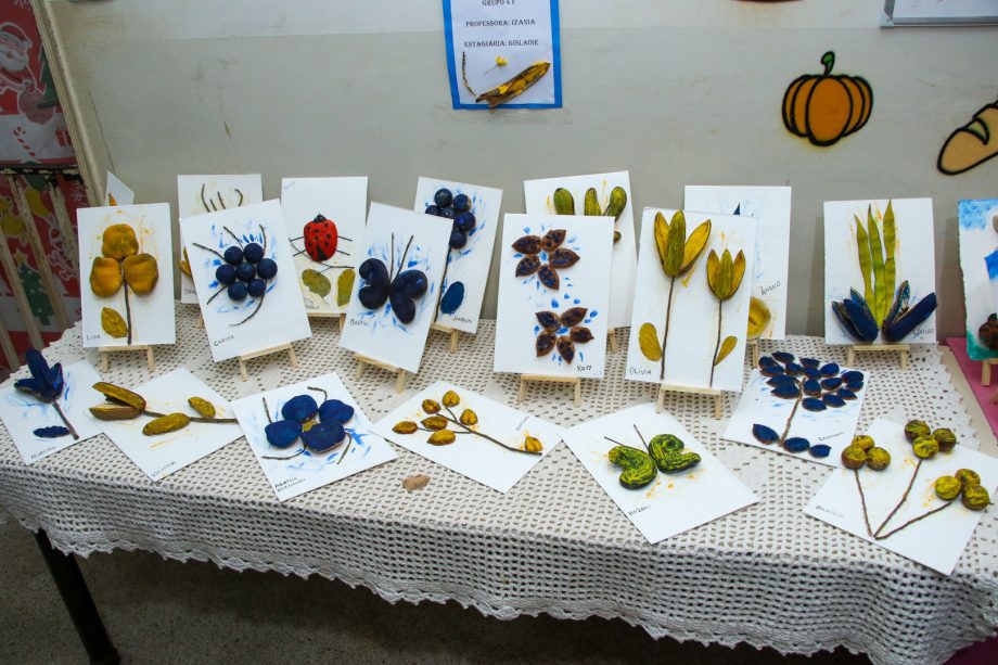 CEI NOVA ALVORADA - PROJETO SUZANO (5)