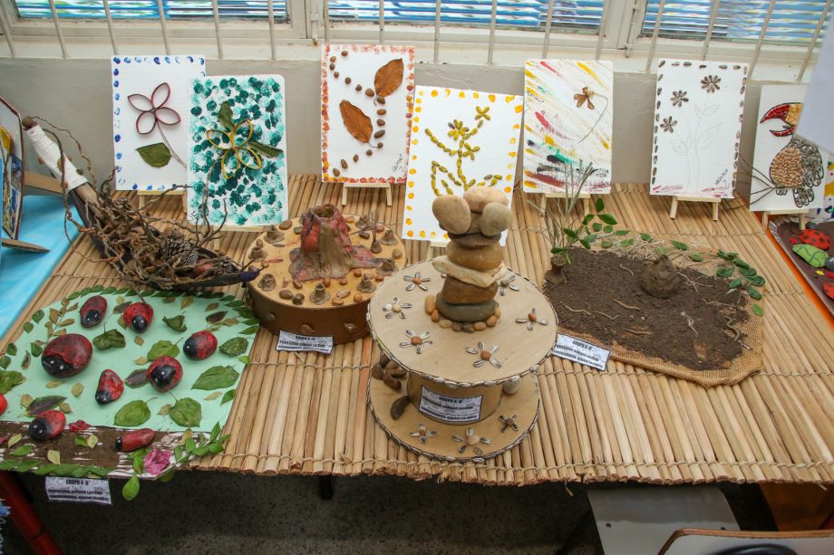 CEI NOVA ALVORADA - PROJETO SUZANO (8)