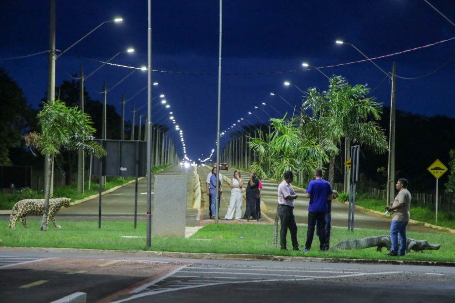 Inauguração iluminação Jamil Jorge Salomão (14)