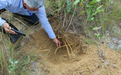 VISITA PARQUE DO POMBO 04-02 (5)