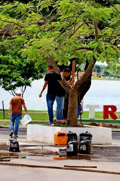 WhatsApp Image 2026-02-13 at 08.22.49