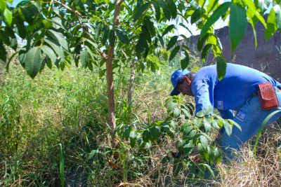 AÇÃO DE LIMPEZA - Área adjancente ao CENTRO POP (111)