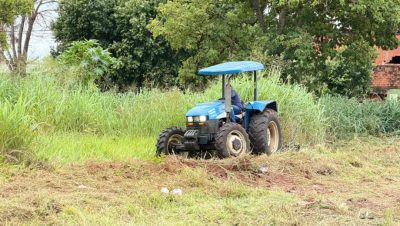 Limpeza Operação Aproximattus 2