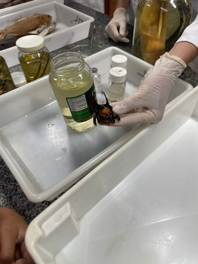 Semanda da Água - Visita laboratórios UFMS (2)