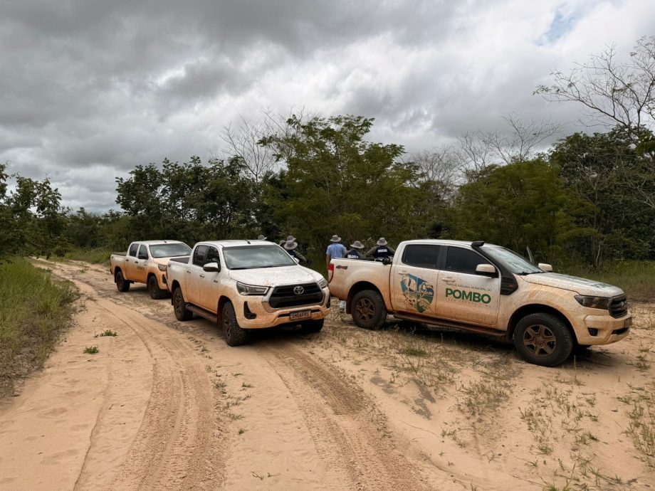 IMASUL visita Parque do Pombo como referência para implantação em outros municípios
