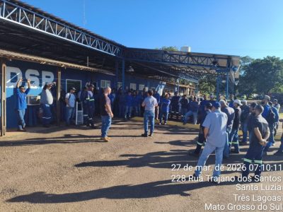 WhatsApp Image 2026-03-27 at 08.01.23