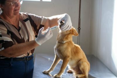 CENTRO DE REABILITA&Ccedil;&Atilde;O ANIMAL 27-04-26 (2)