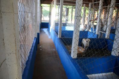 CENTRO DE REABILITA&Ccedil;&Atilde;O ANIMAL 27-04-26 (35)