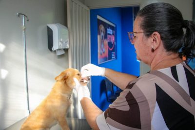 CENTRO DE REABILITA&Ccedil;&Atilde;O ANIMAL 27-04-26 (6)