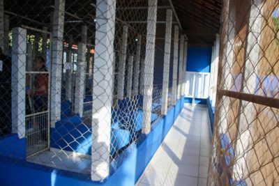 CENTRO DE REABILITA&Ccedil;&Atilde;O ANIMAL 27-04-26 (8)