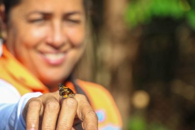 CENTRO DE REABILITA&Ccedil;&Atilde;O ANIMAL 27-04-26 (95)