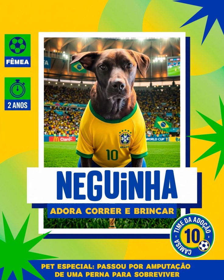 Ca~es para adoção em 07 - 04 - 26 (1)