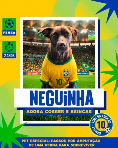 Ca~es para adoção em 07 - 04 - 26 (1)