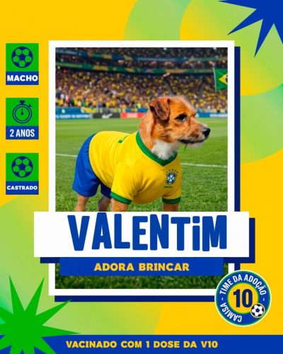 Ca~es para adoção em 07 - 04 - 26 (2)