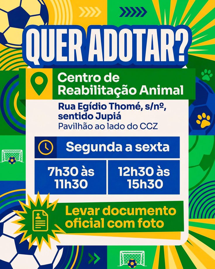 Cães para adoção em 07 de abril de 2026