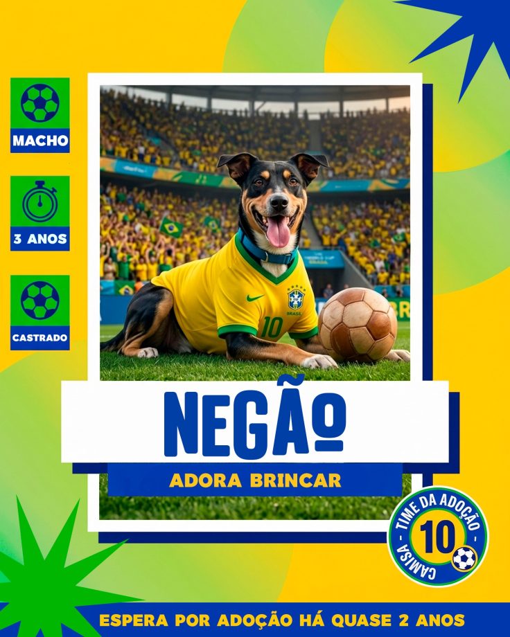 Ca~es para adoção em 07 - 04 - 26 (4)