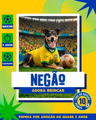 Ca~es para adoção em 07 - 04 - 26 (4)