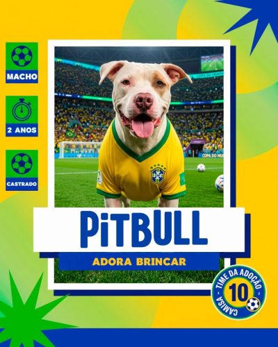 Ca~es para adoção em 07 - 04 - 26 (5)