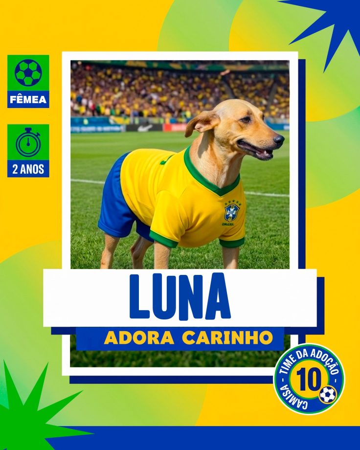 Ca~es para adoção em 07 - 04 - 26 (6)