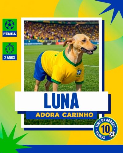 Ca~es para adoção em 07 - 04 - 26 (6)