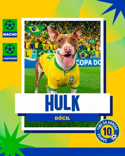 Ca~es para adoção em 07 - 04 - 26 (7)