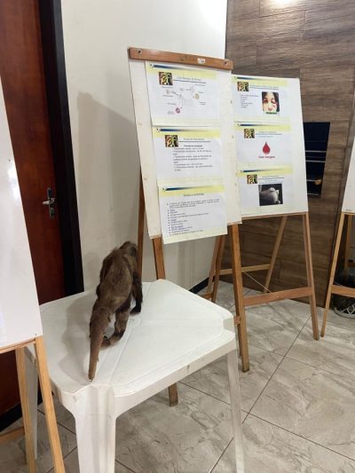 WhatsApp Image 2026-04-16 at 10.58.18 (1)