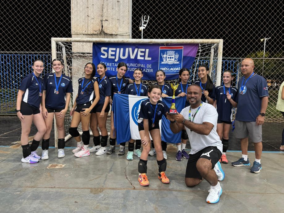 Volei