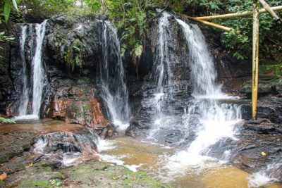 DIA OBSERVAÇÃO DOS PÁSSAROS 09-05 (21)