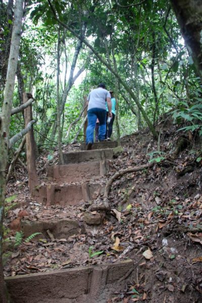 DIA OBSERVAÇÃO DOS PÁSSAROS 09-05 (22)