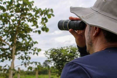 DIA OBSERVAÇÃO DOS PÁSSAROS 09-05 (45)