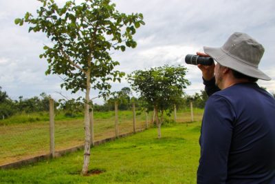 DIA OBSERVAÇÃO DOS PÁSSAROS 09-05 (46)