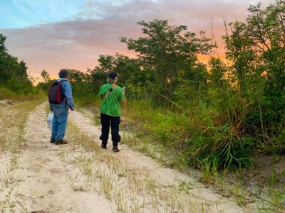 DIA OBSERVAÇÃO DOS PÁSSAROS 09-05 (69)