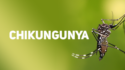 chikungunya