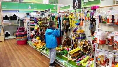 pet-shop-um-negocio-de-sucesso-e-alta-lucratividade-cpt11