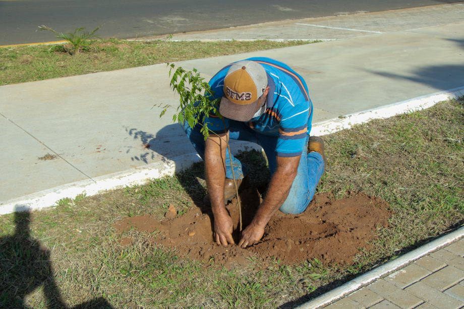 111 ANOS TRÊS LAGOAS 08-06 (34)