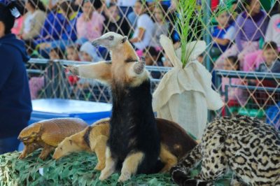 SEMANA DO MEIO AMBIENTE 03-06 (38)