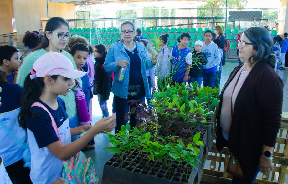 SEMANA DO MEIO AMBIENTE 03-06 (9)