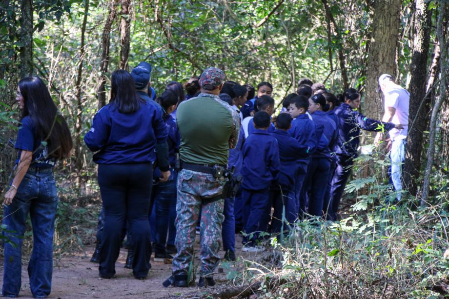 TRILHA ECOLÓGICA 02-06 (29)