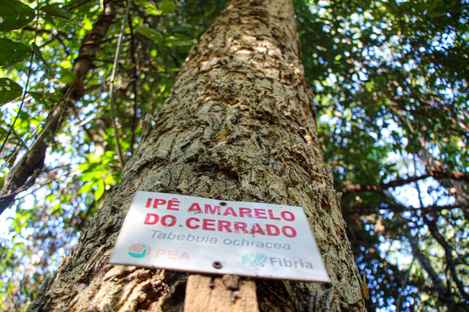 TRILHA ECOLÓGICA 02-06 (31)