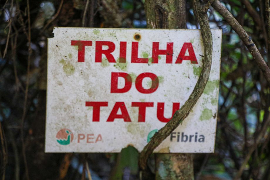 TRILHA ECOLÓGICA 02-06 (32)