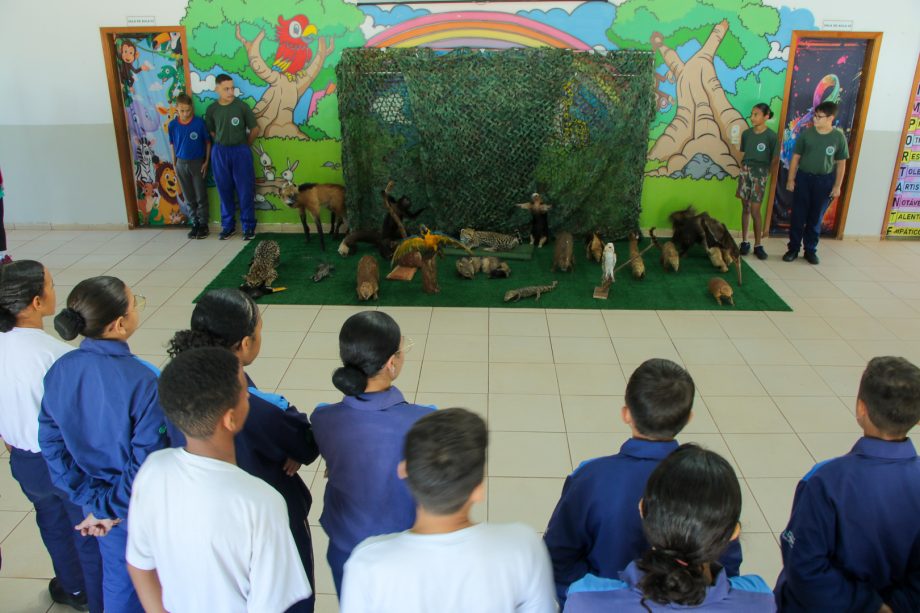 TRILHA ECOLÓGICA 02-06 (58)