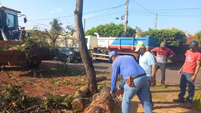 Defesa Civil e equipes da Prefeitura atuam desde ontem ap&oacute;s tempestade que atingiu Tr&ecirc;s Lagoas (1)