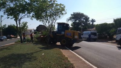 Defesa Civil e equipes da Prefeitura atuam desde ontem ap&oacute;s tempestade que atingiu Tr&ecirc;s Lagoas (11)