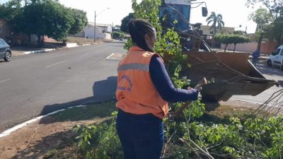 Defesa Civil e equipes da Prefeitura atuam desde ontem ap&oacute;s tempestade que atingiu Tr&ecirc;s Lagoas (12)
