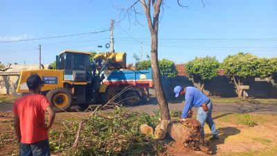 Defesa Civil e equipes da Prefeitura atuam desde ontem ap&oacute;s tempestade que atingiu Tr&ecirc;s Lagoas (14)